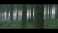 Аколит 1 сезон 7 серия